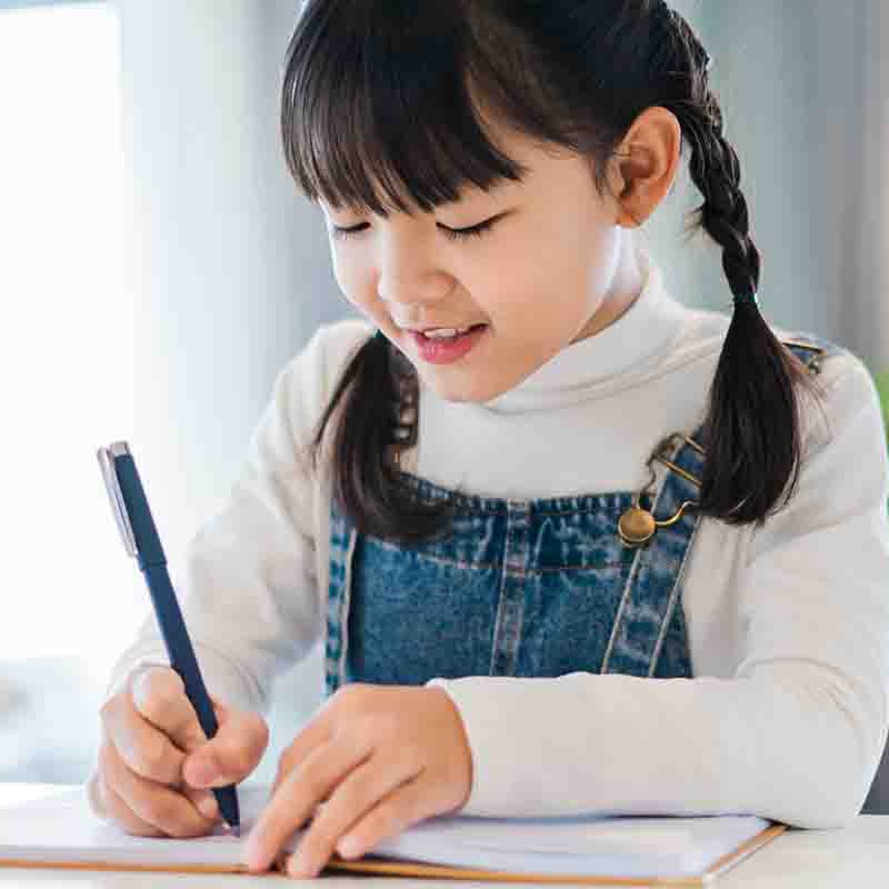 p5-higher-chinese-compoition-writing